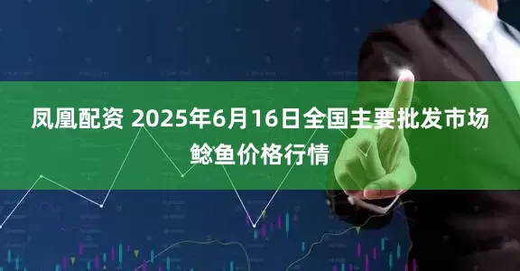 凤凰配资 2025年6月16日全国主要批发市场鲶鱼价格行情